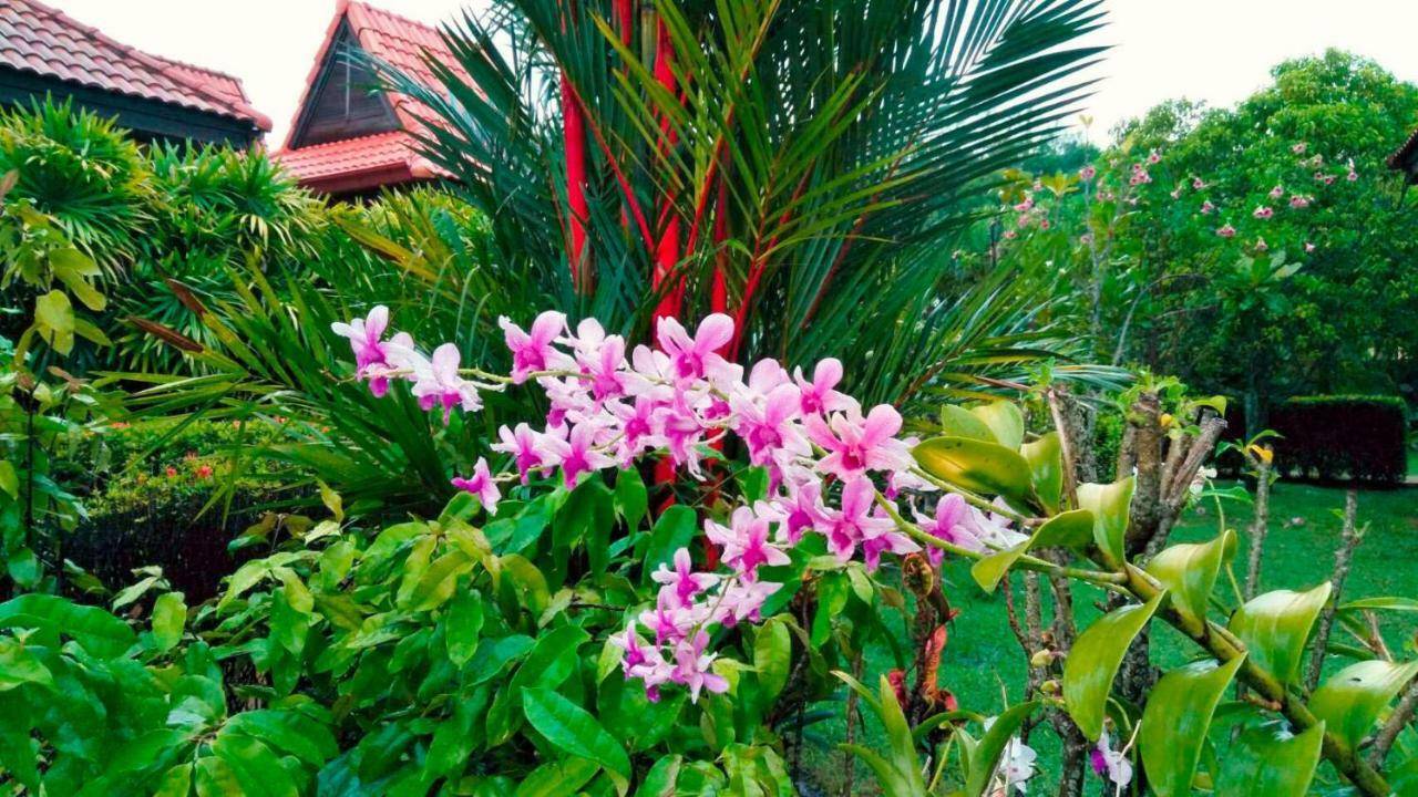 Family-Friendly House, A Few Steps From The Pool And Close To The Ocean. Mae Phim Esterno foto